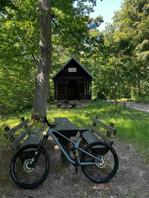 3 Eichen | Foto: Dirk