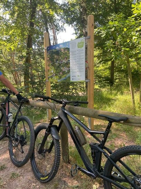 Uffbasse, 3 Eichen | Foto: Ich