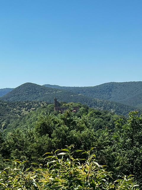 Die Limburg | Foto: Ich