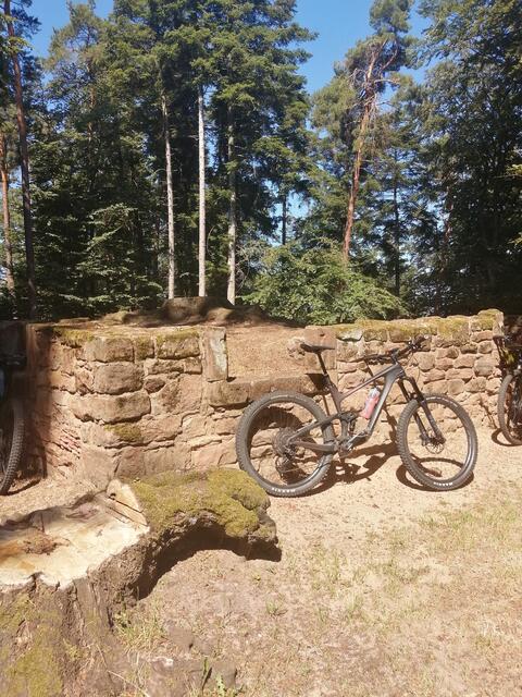 Murrmirnichtviel | Foto: Ich