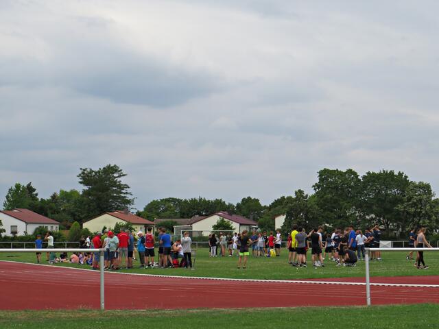Grüppchenbildung | Foto: Brigitte Melder