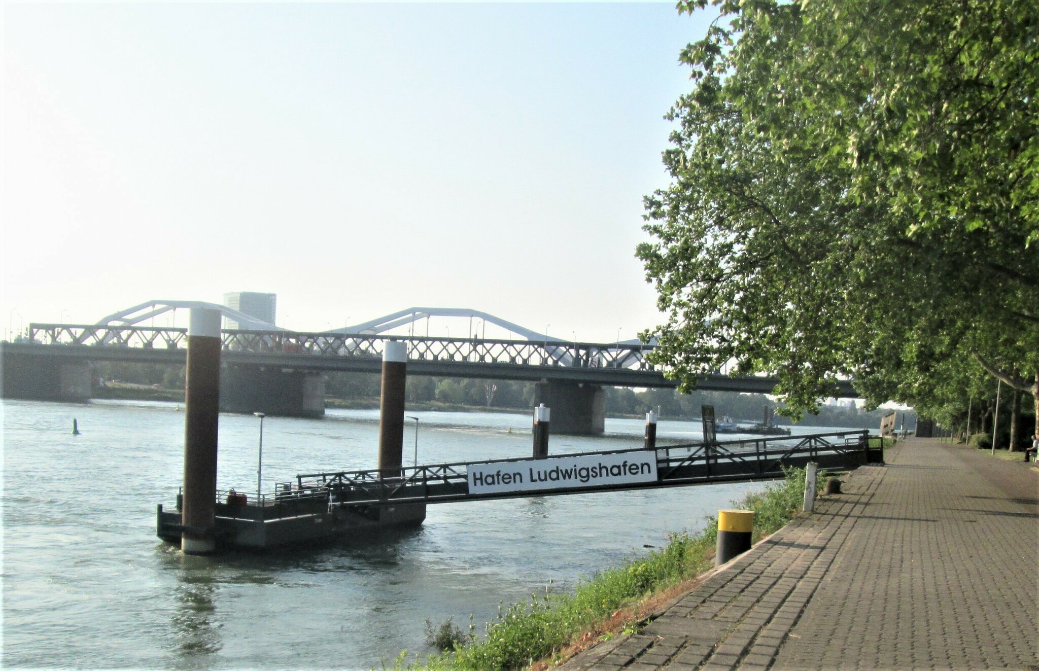 Neue Stadtspaziergänge starten bald Warum ist es am Rhein so schön