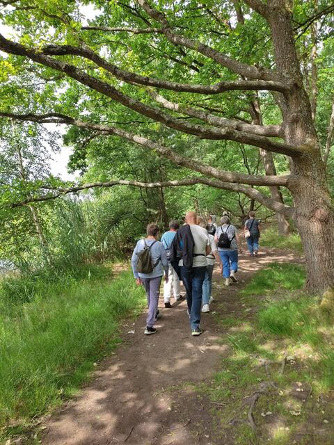 Wanderung am Vogelwoog  | Foto: Angelika Sing 