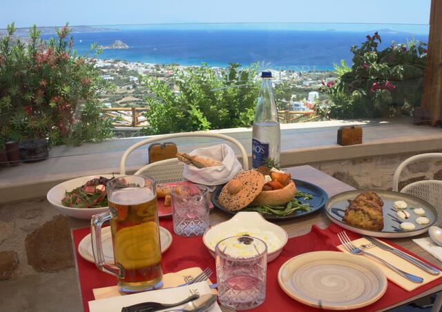 Mylotopi | Foto: Michael Bartholomaeus