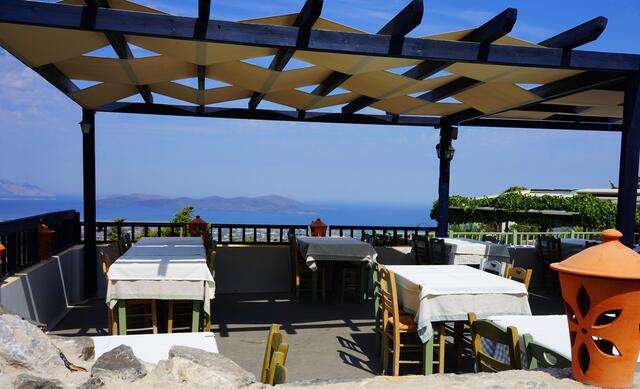 Oromedon | Foto: Michael Bartholomaeus