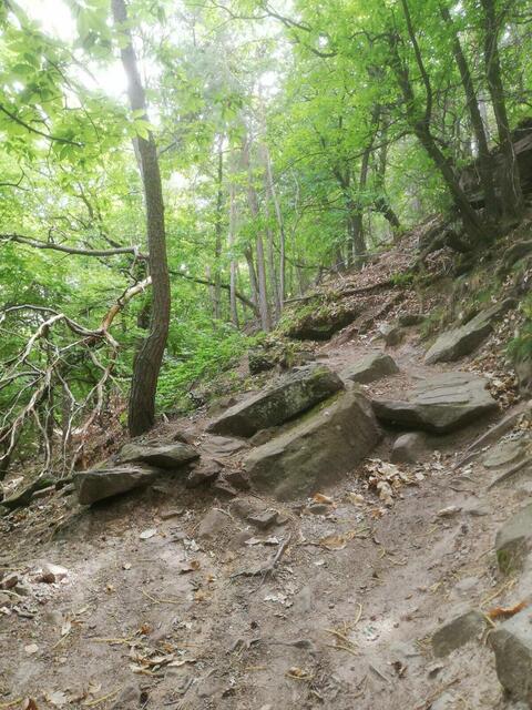 Felsen | Foto: Klaus-Peter Schäfer