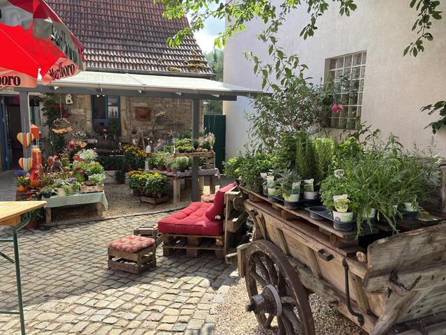 Hof Meike Reubold, Hauptstraße 51, Gaugrehweiler | Foto: Arno Mohr