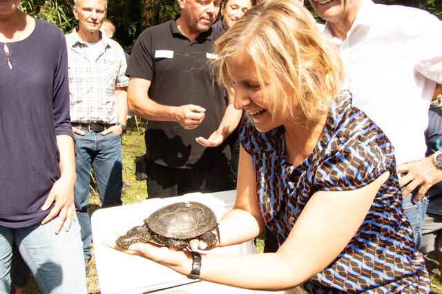 Ministerin Katrin Eder mit einer Europäischen Sumpfschildkröte | Foto: Heike Schwitalla