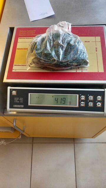 419 g Gummis, kein Platz mehr für Nahrung | Foto: Kurt Przybylowicz 