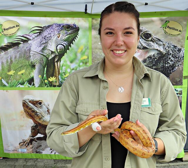 Kennt ihre Tiere gut: Nicole Hubert vom Reptilium mit Kornnatter | Foto: Brigitte Melder