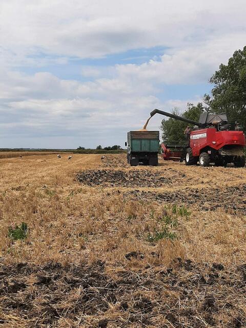 d | Foto: i.A. Igor Girka