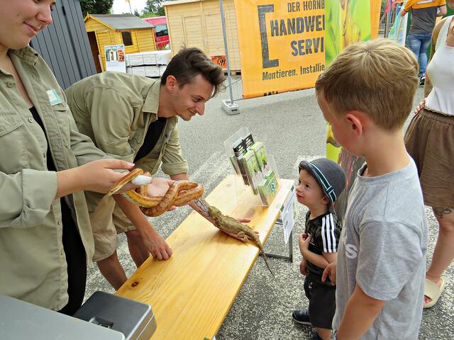 Sébastien Amann hält die Bartagame | Foto: Brigitte Melder