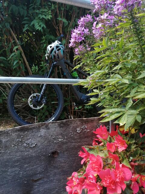 Elmstein | Foto: Ich