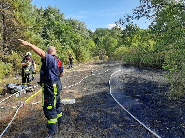 Grasbrand in Höhe der Wehlachweiher. | Foto: FFW Haßloch