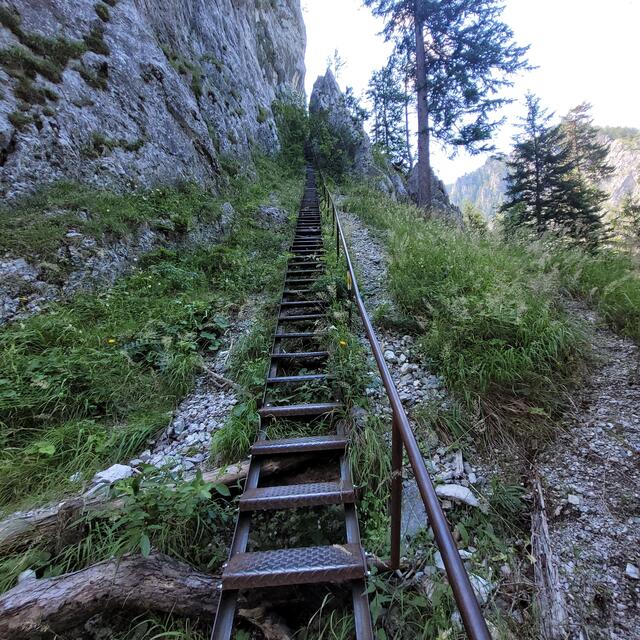Gaisloch Einstieg mit 170 Stufen | Foto: Markus Pacher