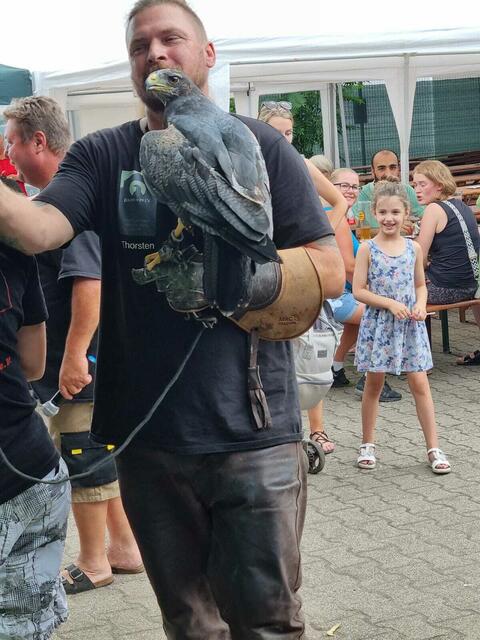 Vogelshow | Foto: Bilder durch Durlacher Turmberg Hexen erstellt