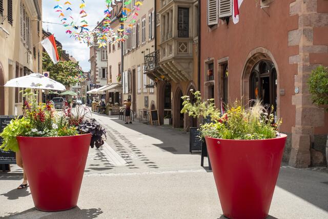 Das schöne Sélestat | Foto: Öfner