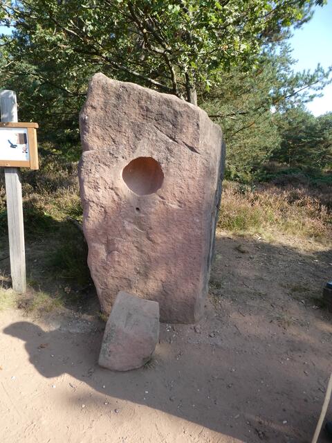 Singender Stein am Startpunkt in der Mehlinger Heide | Foto: Heinrich Schneider