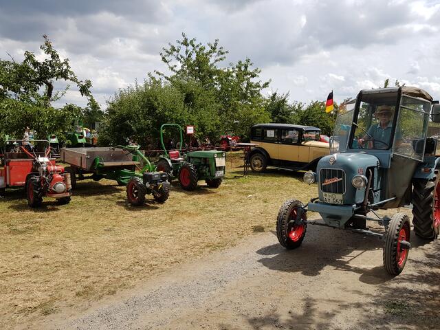 Auch Hakos und Oldtimer werden im Gewann "Löhl" beim Mingolsheimer Schleppertreffen zu bestaunen sein.  | Foto: Nadia Ries