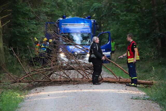 THW 24-Stundenübung | Foto: red