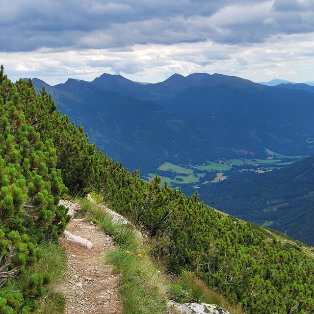 Kammweg zun Großen Hengst | Foto: Markus Pacher 