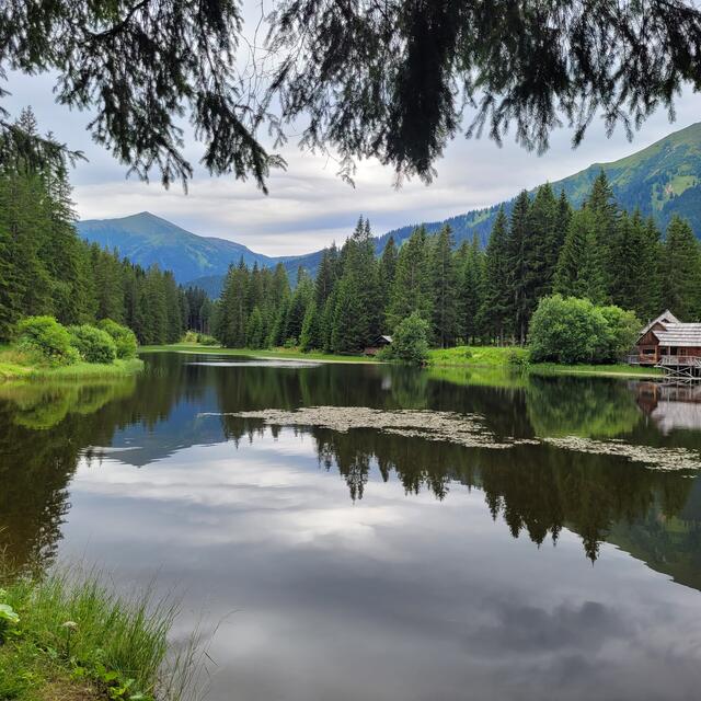 Auf dem Weg zur Edeltrauhütte  | Foto: Markus Pacher 