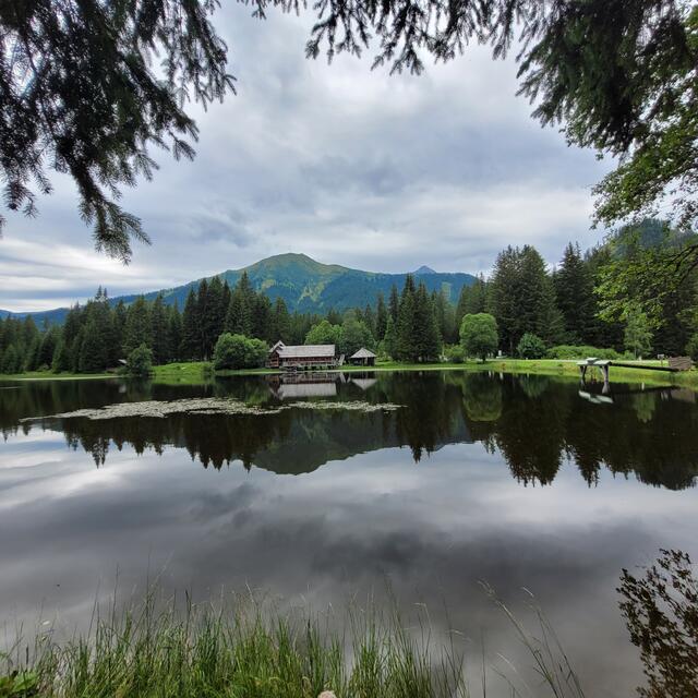 Zur Edeltrauhütte  | Foto: Markus Pacher 