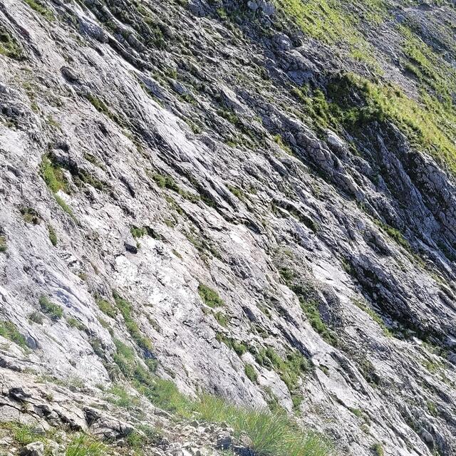 Steile Felsplatten auf dem Weg zum Gipfel  | Foto: Markus Pacher 