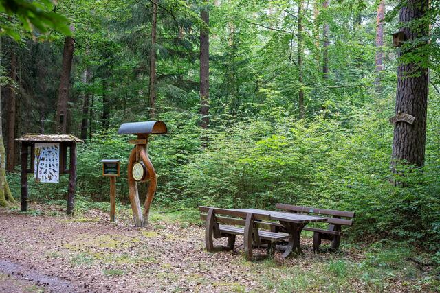 Das Monatstreffen vom NABU Eisenberg/Leiningerland am Mittwoch, 9. August, ist diesmal ein erlebnisreicher, abendlicher Waldspaziergang für die ganze Familie auf dem Altleininger Waldlehrpfad | Foto: NABU Eisenberg/Leiningerland/gratis