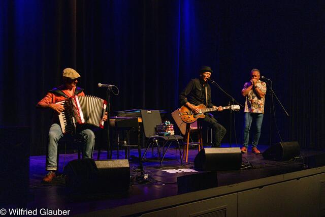 Live in concert: Ludwig Seuss, Abi Wallenstein und Hans Steinbacher | Foto: Wilfried Glauber