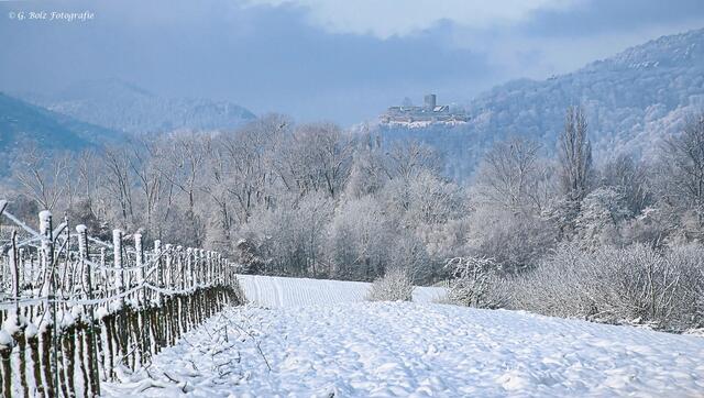 Winterlandschaft mit Blick auf Burg Landeck | Foto: Günter Bolz