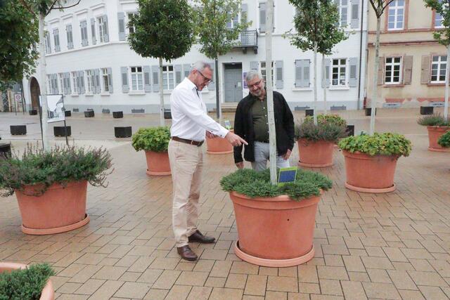 Marcus Schaile und Manfred Westermayer im Wanderwald | Foto: Heike Schwitalla