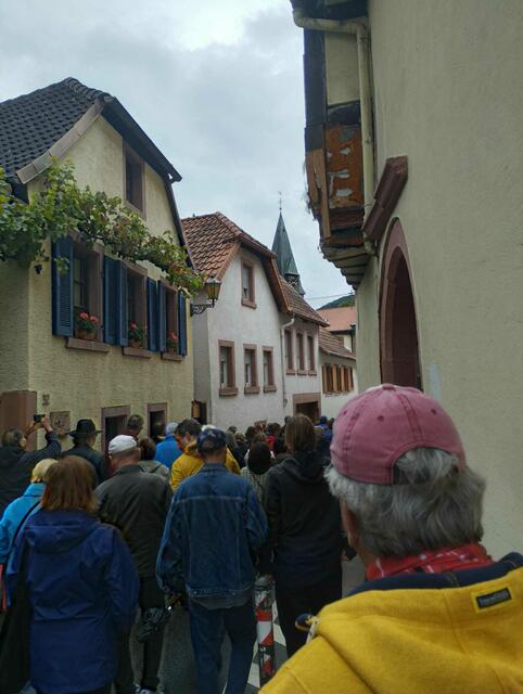 Foto: Alexandra Oehlert