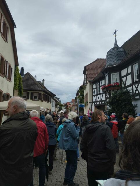 Foto: Alexandra Oehlert