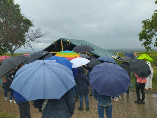 Foto: Alexandra Oehlert