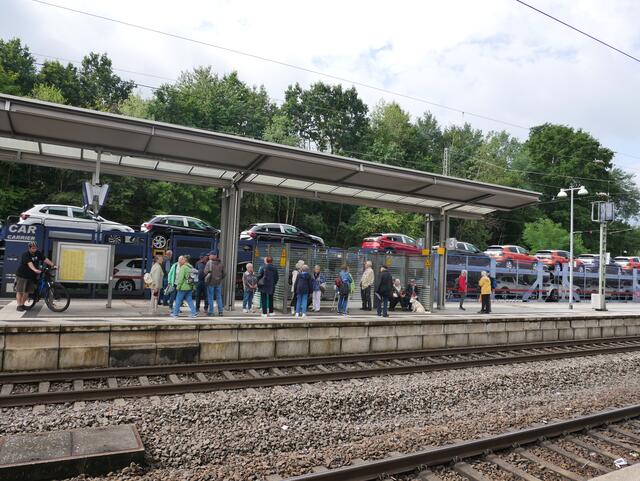 PfälzerwaldVerein Hochspeyer Seniorenwanderung zum Vogelpark
