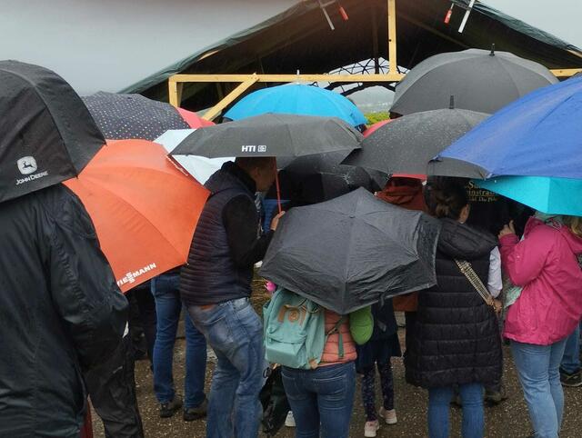 Foto: Alexandra Oehlert