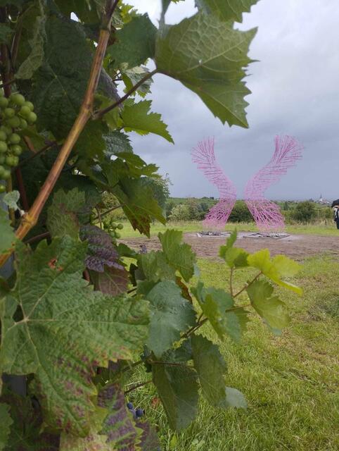 Foto: Alexandra Oehlert