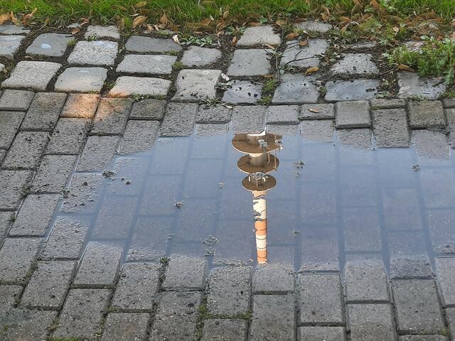 Fernsehturm Mannheim spiegelt sich in einer Pfütze | Foto: Kristin Hätterich