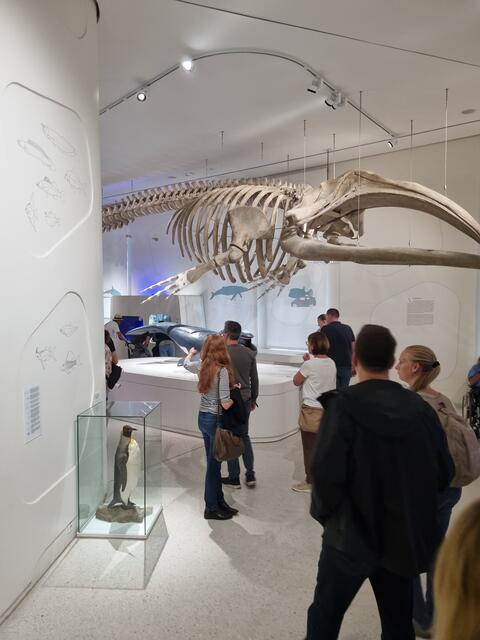 Naturkundemuseum | Foto: www.jowapress.de