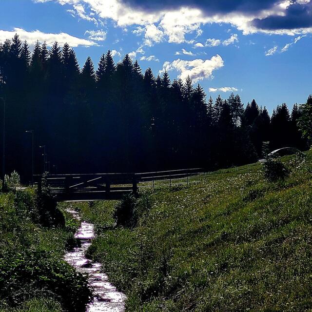 Abendidylle auf dem Weg nach Bad Bleiberg  | Foto: Markus Pacher 