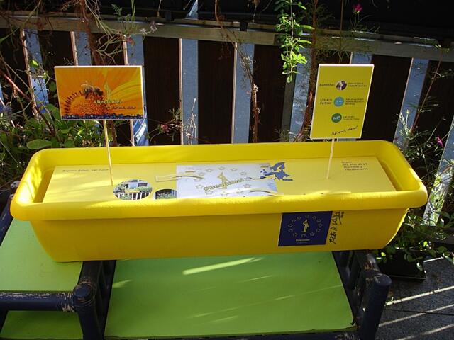 Die Blumenkästen sind bereit für eine bienenfreundliche Bepflanzung unter Anleitung von Dr. Lauer. | Foto: RNZ