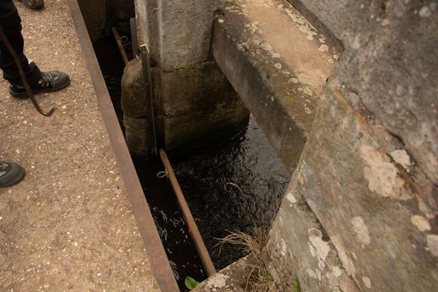IMMATERIELLES KULTURERBE
Die Wiesenbewässerung in den Queichwiesen zwischen Landau und Germersheim  | Foto: Heike Schwitalla