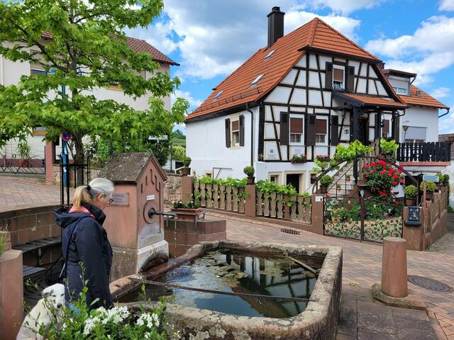 Gleisweiler | Foto: Markus Pacher