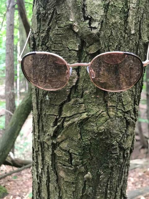 Brillenbaum | Foto: Ich