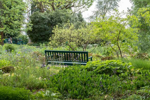 Finde die Bank  ---- Herzogenried Park Ende Mai 2022 | Foto: Tina Kirsch Photografie
