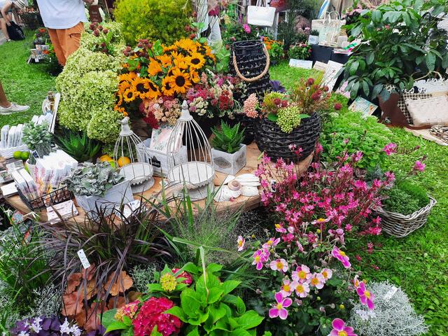 Gartenmarkt in Maikammer | Foto: Kristin Hätterich 