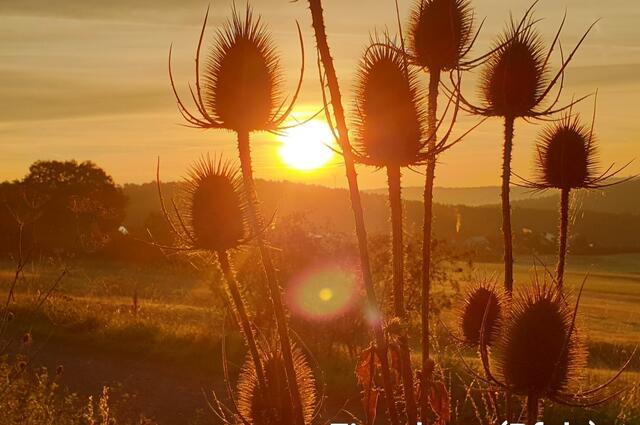 Sonnenaufgang in Eisenberg Herbst 2022 | Foto: Ingelore Schon 
