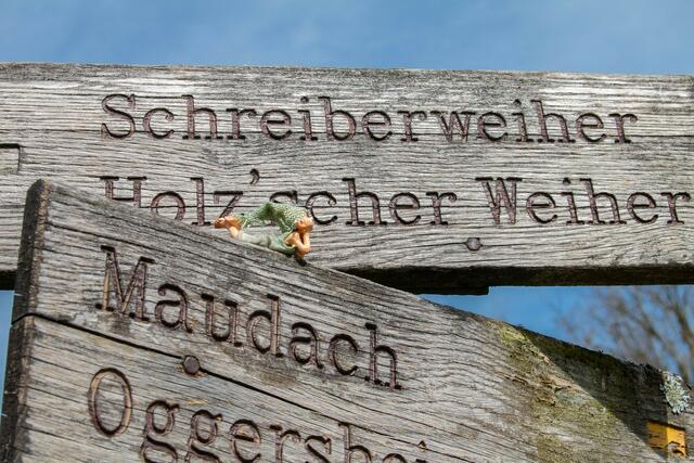 Kleiner Kobold macht Rast -----Juni 2023 Maudacher Bruch  | Foto: Tina Kirsch Photografie