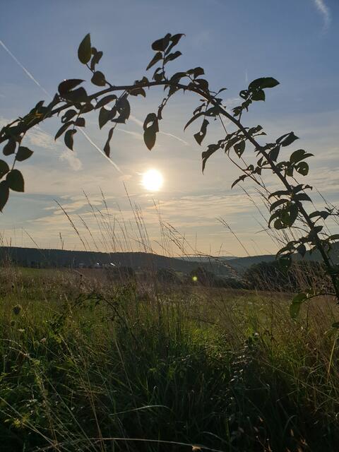 In Eisenberg aufgenommen beim Sonnenaufgang im August 2023 | Foto: Ingelore Schon 